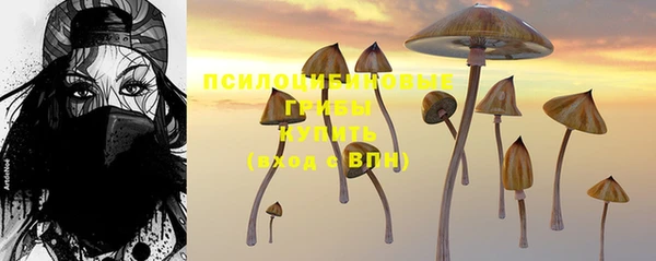 2c-b Кодинск