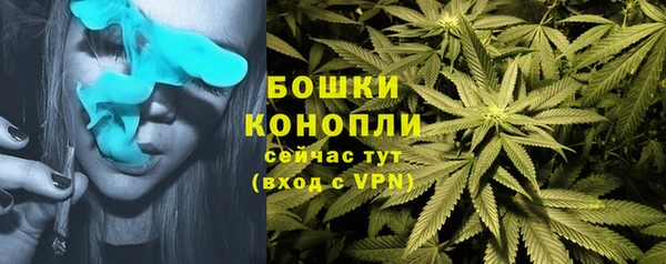 2c-b Кодинск